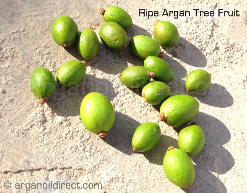 60Ml Pure Argan Oil, Light Scent - Moroccan Artisan